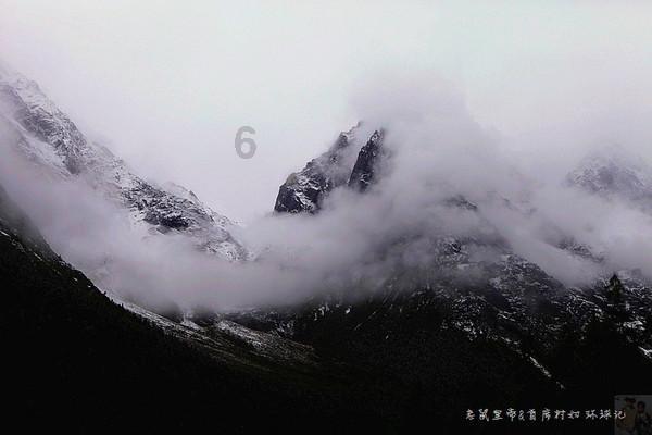 「探知问答」-一站式解答你的问题